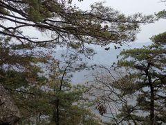 -秦岭天竺山生态文化旅游景区