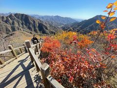 -大岭沟猕猴桃谷风景区
