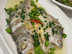深海大黄鱼-乾隆美食·本帮菜(黄河路店)