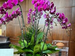 -夏宫中餐厅(静安香格里拉店)