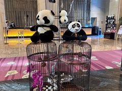 -成都保利公园皇冠假日酒店(熊猫基地店)