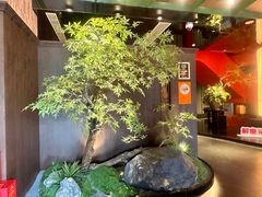 -解家河南菜(商鼎路店)