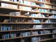 景点-溱湖国家湿地公园