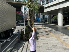 -秋叶原电器街