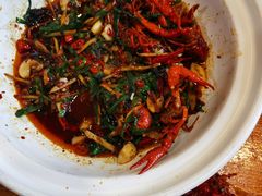 -李记茶油鸭(河西店)