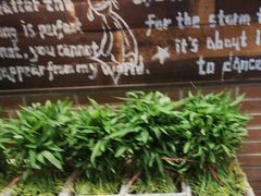 -永安鱼庄·镇江菜(三店纬五路店)