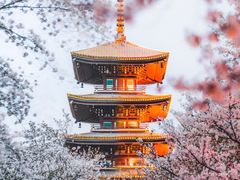 -武汉光谷K11