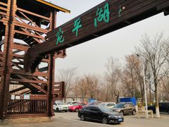 -绿堤公园