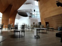 -华特·迪士尼音乐厅