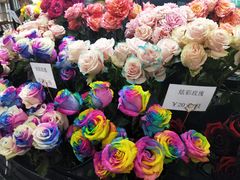 -荷兰花海