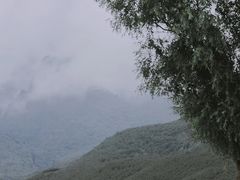 -怪咖·joker陈楠
