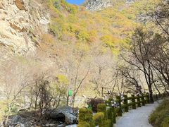 -少华山国家森林公园
