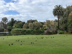 -墨尔本皇家植物园