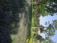 iphone_upload_pic-永定河休闲森林公园