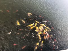 -呼兰河口湿地公园