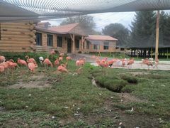 -哈尔滨北方森林动物园