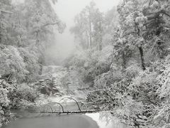 -龙苍沟森林公园