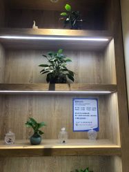 -苑苑vbeauty科技美容SPA