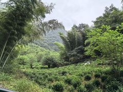 -水墨汀溪风景区