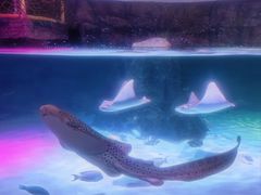 -沈阳海洋探索中心