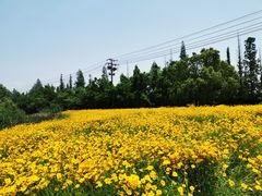 -尚贤河湿地