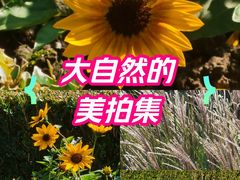 -中山公园