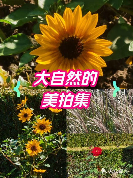 中山公园图片