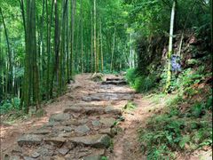 -莫干山风景区