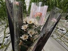 -上海鲜花港