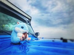 -碧海金沙