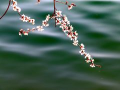 -颐和园