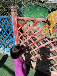 -萌宠亲子动物乐园(槐房万达店)