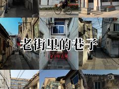 -三林塘老街