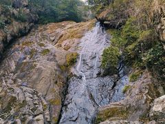 -东天目山风景区