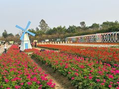 -盈香心动乐园