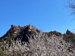 -北京凤凰岭