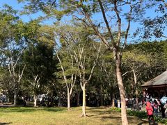 -野象谷景区