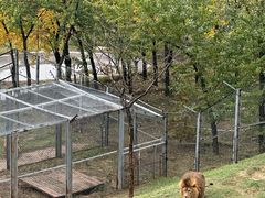 -青藏高原野生动物园