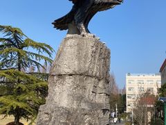 -上海财经大学(国定路校区)