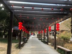 -白马涧龙池景区