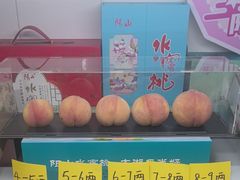 -老袁家蜜桃农场·阳山水蜜桃