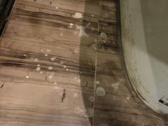 -金孔雀温泉旅游度假村