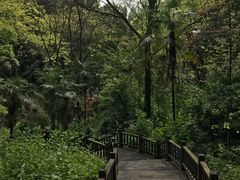 -凤栖山