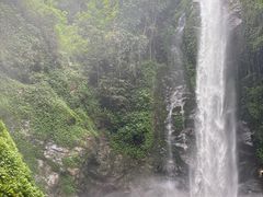 -莫里热带雨林景区