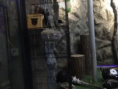 -MOJO密室逃脱(中街旗舰店)