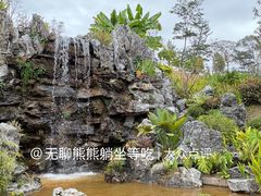 -东莞植物园