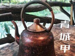 -青城甲(青城山店)