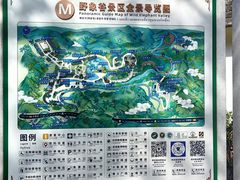 -野象谷景区