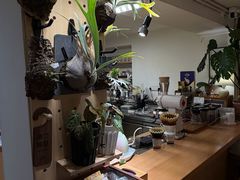-本無咖啡·BeanWood Coffee
