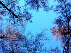 -北极村旅游风景区